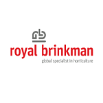 Royal_Brinkman
